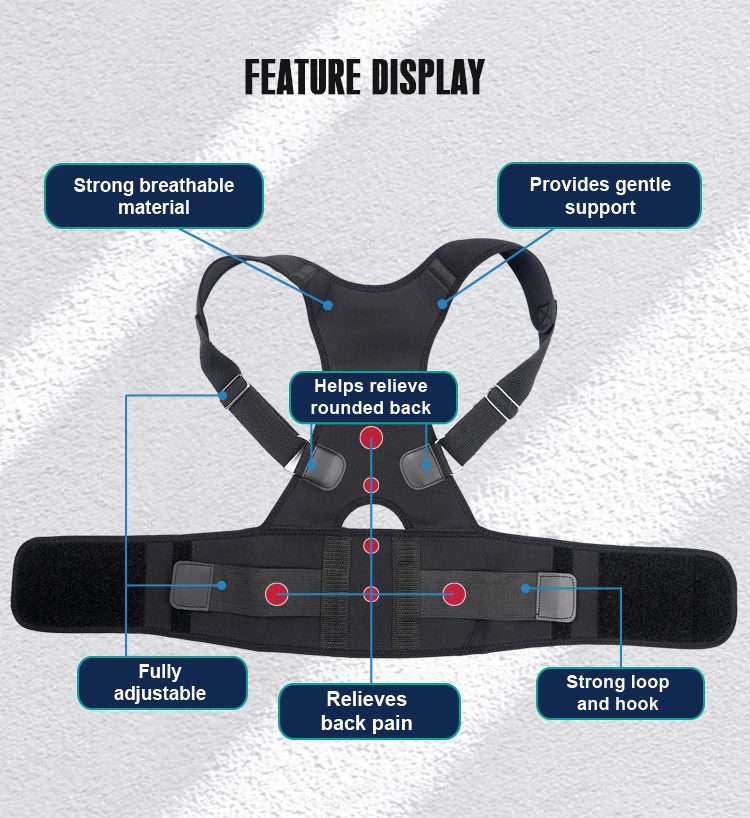 Cinturón ortopédico de soporte - Posture Pole Corrector reseña y precio