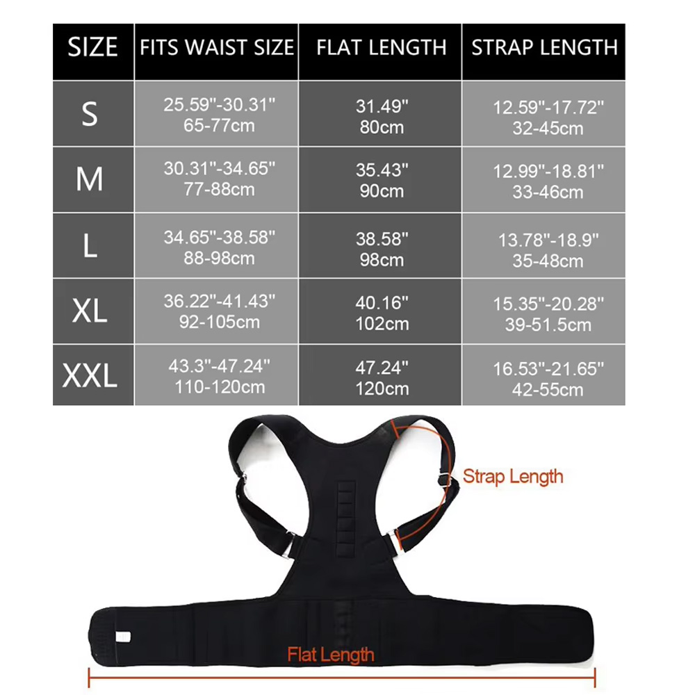 Cinturón ortopédico de soporte - Posture Pole Corrector reseña y precio
